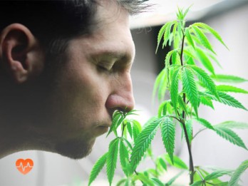 Детоксикация от марихуаны в Новой Ляле